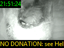 21:51:24