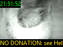 21:51:52