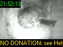 21:52:13