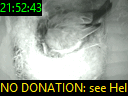 21:52:43
