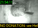 21:54:11