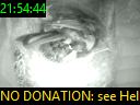 21:54:44