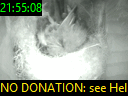 21:55:08
