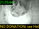 21:55:44