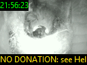 21:56:23