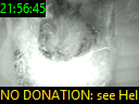 21:56:45
