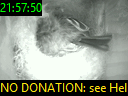 21:57:50