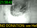 21:58:43