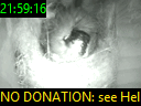21:59:16