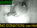 22:03:02