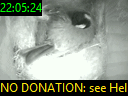 22:05:24