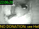 22:06:20