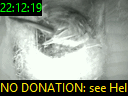 22:12:19