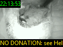 22:13:53