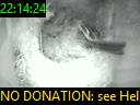 22:14:24