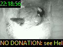 22:18:56
