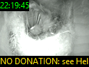22:19:45