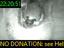 22:20:51