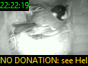 22:22:19