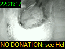 22:28:17