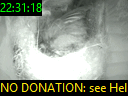22:31:18