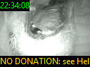 22:34:08