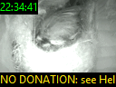 22:34:41