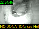 22:34:46