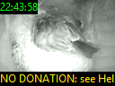 22:43:58