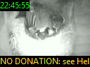22:45:55