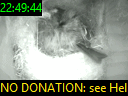 22:49:44
