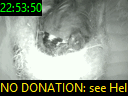 22:53:50