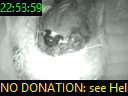 22:53:59