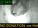 22:54:07