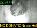 22:54:17