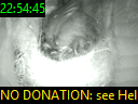 22:54:45
