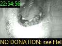22:54:56