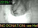 22:55:11