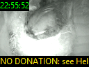 22:55:52
