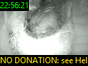 22:56:21