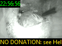 22:56:56