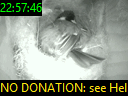 22:57:46