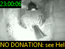 23:00:06