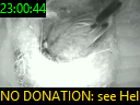 23:00:44