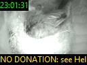 23:01:31