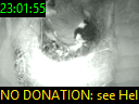 23:01:55