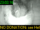 23:02:16