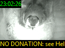23:02:26