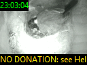 23:03:04