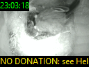 23:03:18